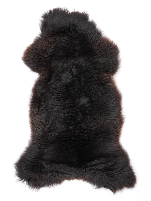 NX00058
