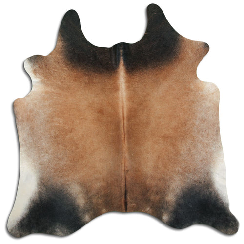 Tan Grey Kuhfell L