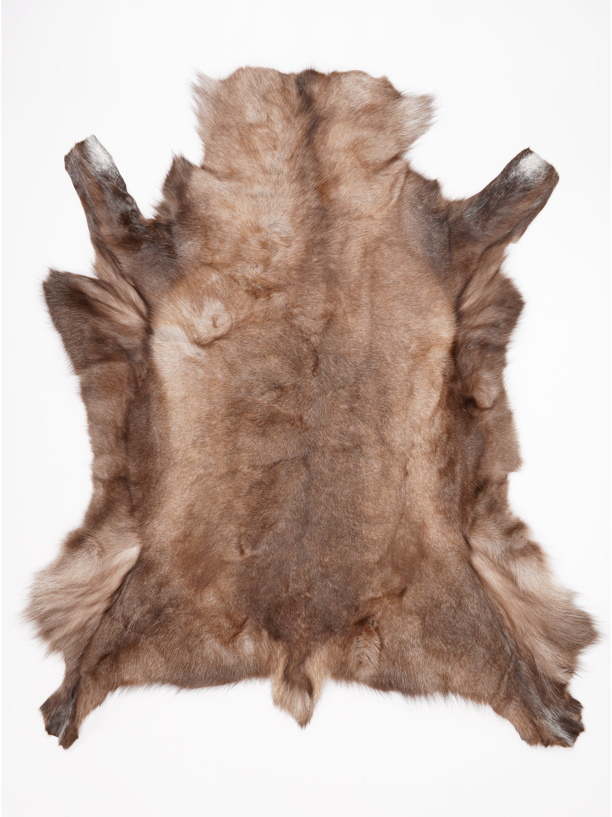 OX00019