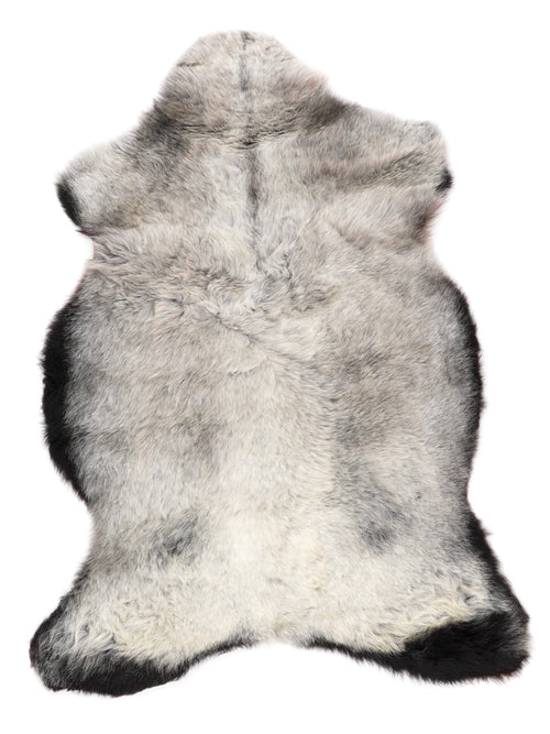 NM00017