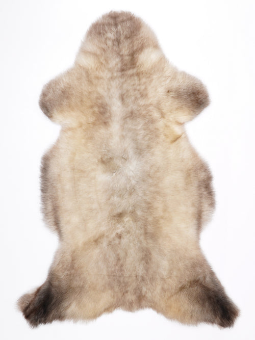 MV00011
