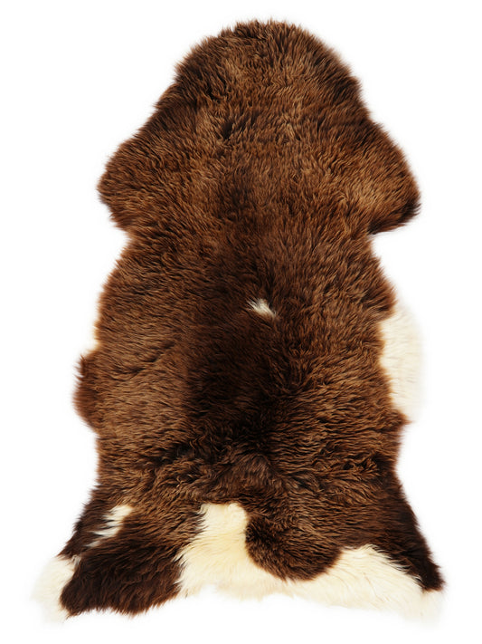 OY00075