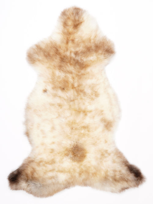 ML00099