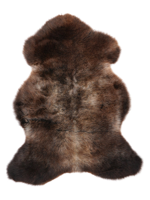 NF00095