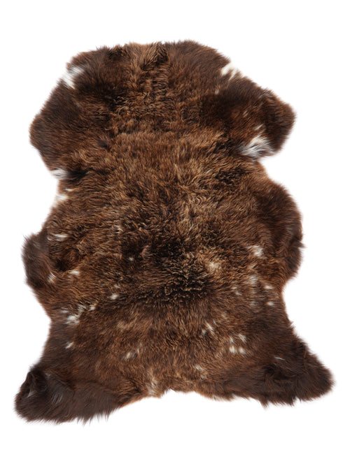 NF00094