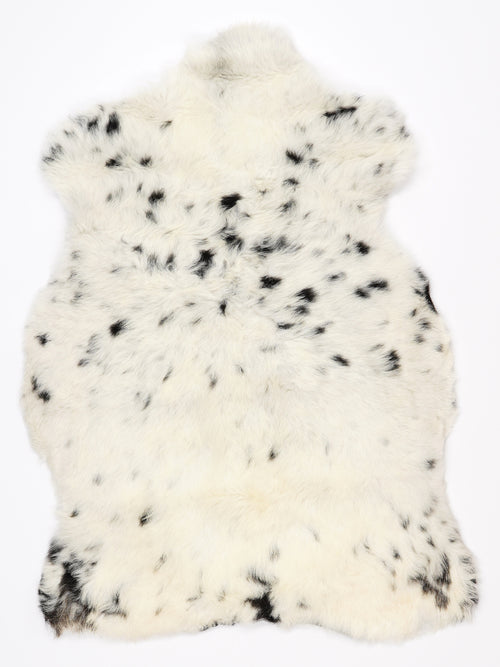 NG00086