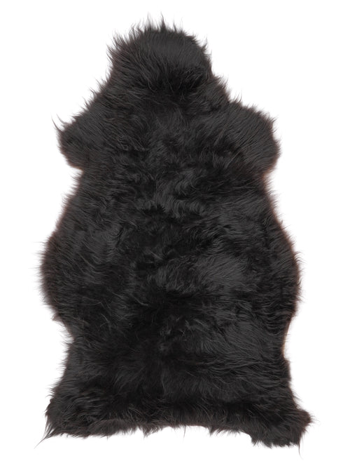 NM00067