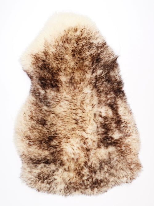 NF00053