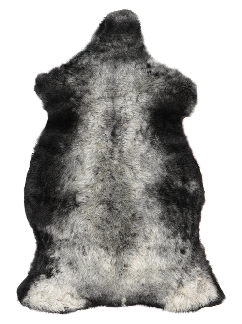 NC00041