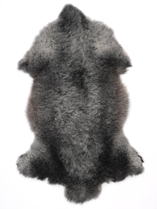 MQ00007