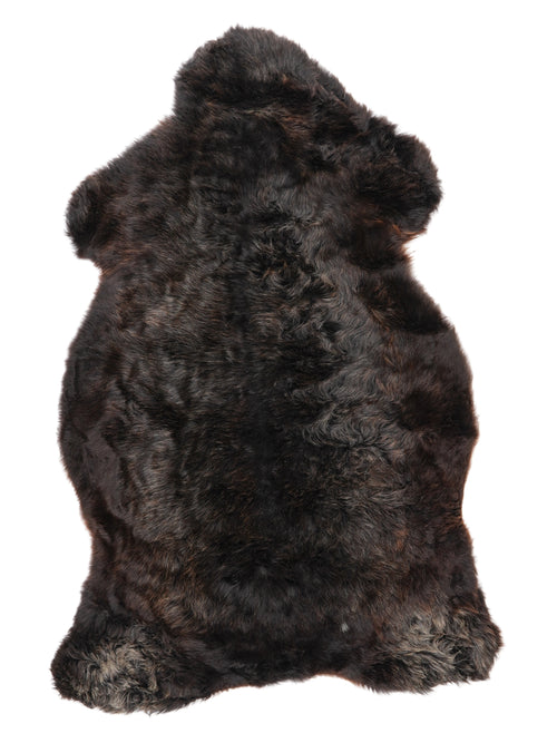 NC00048